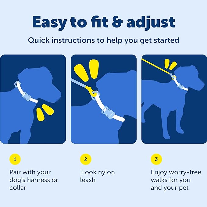 PetSafe Nylon Leash - Helps Maintain Secure Connection on Walks - Durable Pet Leash with Easy Clip - 3/4 in. x 6 ft. - Deep Purple