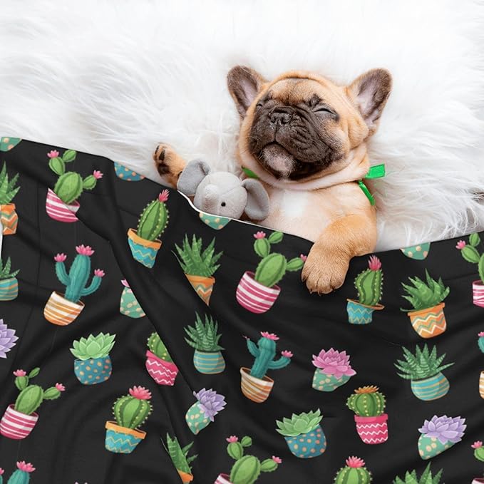 Double Sided Plush Pet Blanket for Small Large Animals, Succulent Cactus Potted Plants, Reversible Throw with Dimpled Dot Side and Flat Side for Kennels Living Rooms