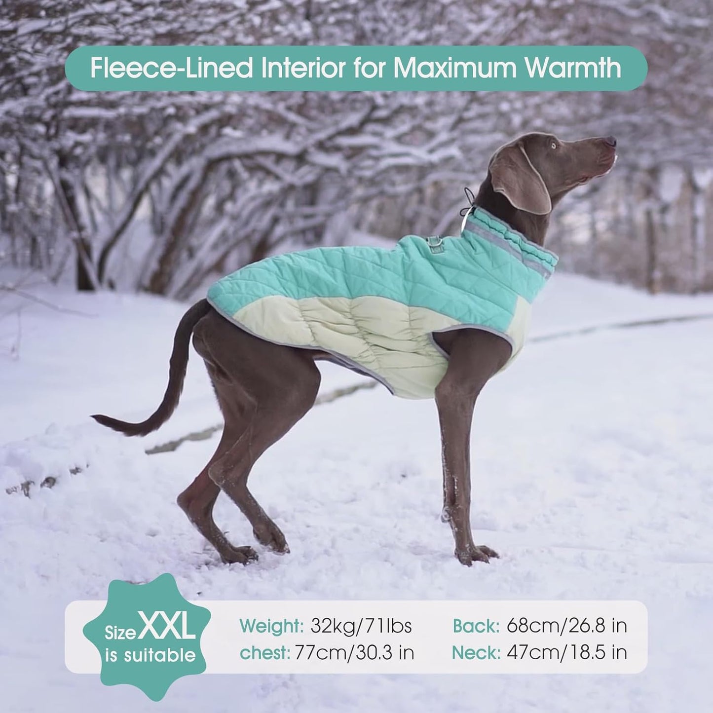 FUAMEY Dog Coat for Large Dogs,Waterproof Dog Winter Jacket with Harness Built in Puppy Cold Weather Coats Reflective Pet Vest with Zipper Warm Fleece Dogs Snowsuit Windproof Mint Green XXL