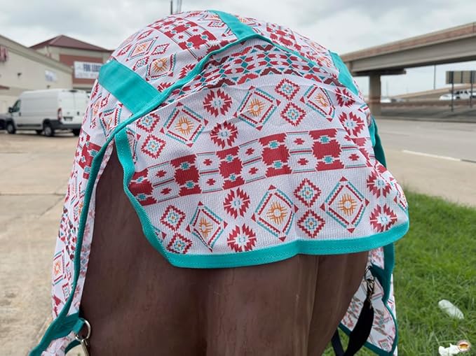 HILASON Horse Fly Sheet - Summer Spring UV Protection Mesh Bug Mosquito FlySheet for Horses | Fly-Sheet