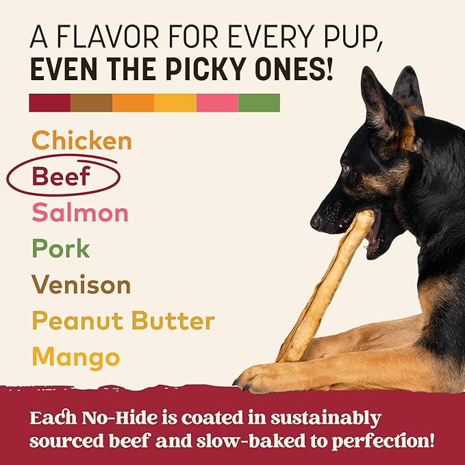 Earth Animal No Hide Chews - Long Lasting Rawhide Free Large Dog Chews Rolls, Beef - 2 Count
