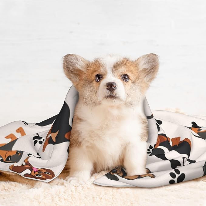 Dachshund Throw Blanket - Cute Dachshunds Dog Blanket for Pet Puppy Blankets 30x20 for Couch Sofa Bed
