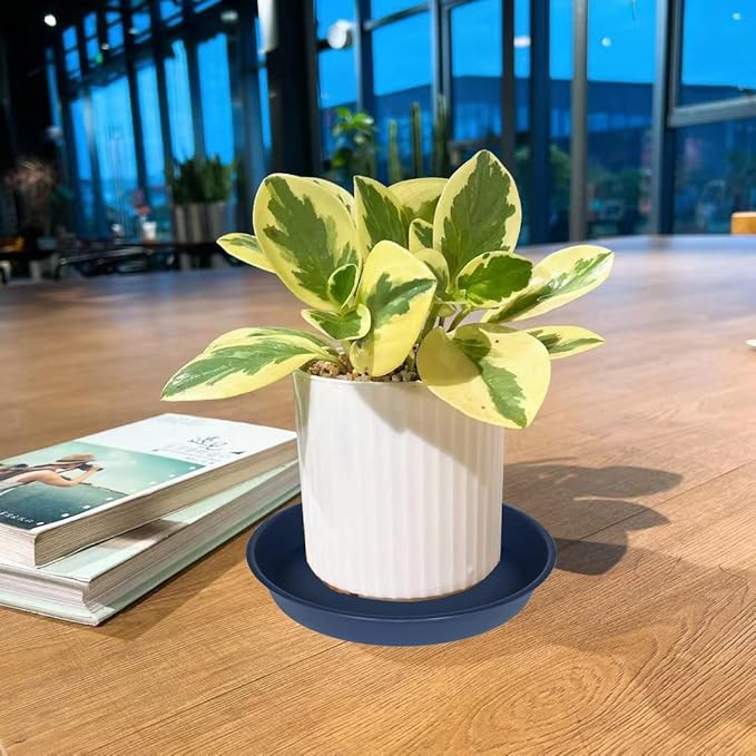 6 Pack of 7 inch Plant Saucer, Heavy Duty Plastic Plant Water Tray 7 inch Round, Flower Plant Saucers for Indoors No Holes, Plant Dishes Saucer for Planter 7"/8" (7", Blue)