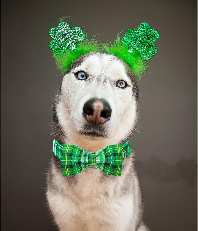 Lionheart glory Dog Bow Collar St. Patrick's Day Dog Collar for Large Dogs, Adjustable Green Plaid Collars Spring Dog Collar with Bowtie Pet Collar Bows Cute Collars