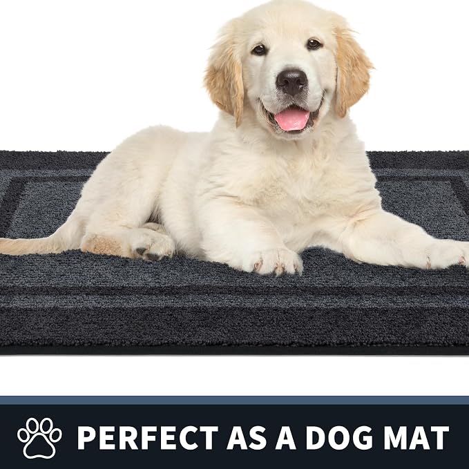PURRUGS Dirt Trapping Door Mat 20" x 32", Non-Slip Machine Washable Entryway Rug