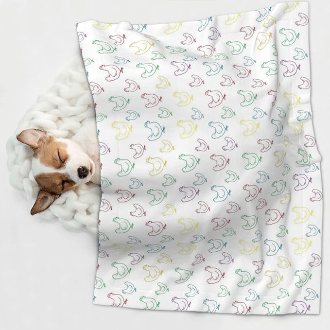Dog and Cat Blanket in One, Hens Chicken Rainbow, Double Sided Plush Throw with Raised Dot Pattern on One Side and Flat Velvet on Other for Variety