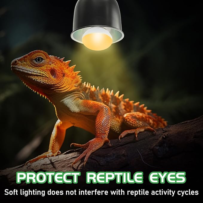 Reptile Heat Lamp Bulbs, UVA Reptile Heat Bulb 2 Pack, 25 Watt Heat Light Bulbs, Daylight Basking Spot Light for Lizard, Bearded Dragon, Snake, Gecko
