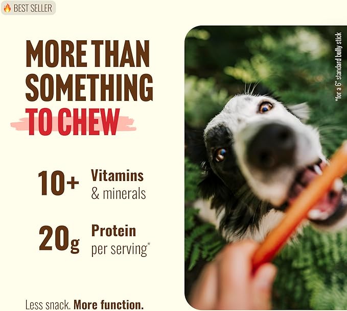 Natural Farm Odor-Free Thin Bully Sticks (12”, 12-Pack) All-Natural Long-Lasting Dog Chews, 100% Beef Pizzle, Grass-Fed, Grain-Free, Protein for Muscle Development & Energy, Perfect for Large Dogs