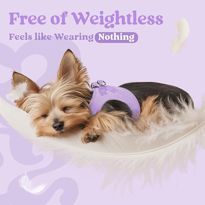rabbitgoo Small Dog Harness, Step-in Soft Mesh Puppy Vest with Safety Buckle, Breathable Reflective Pet Harness for Small Sized Dogs, Light Purple M