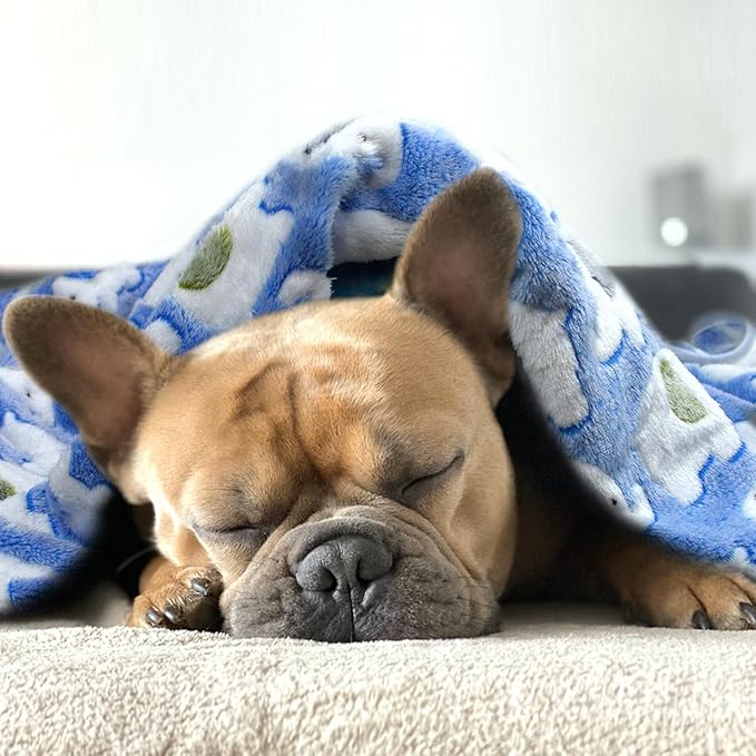 Dog Blankets for Medium Large Dogs Washable, 3 Pack Pet Blanket Washable 41" x 31", Fuzzy Soft Puppy Blanket Throw Cover for Kennel Crate Bed, Blanket for Dogs, Pet Blankets for Dog