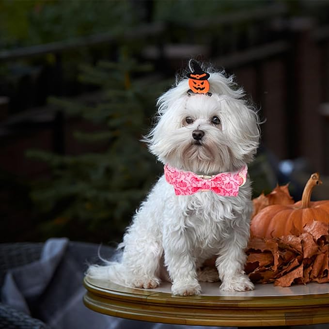 Dog Collar, Pink Pumpkin Print Adjustable Pet Collar Cute Cotton Soft Collars with Bow Tie Fall Metal Buckle Holiday Puppy Collars Boy&Girl Gift for Small Dogs