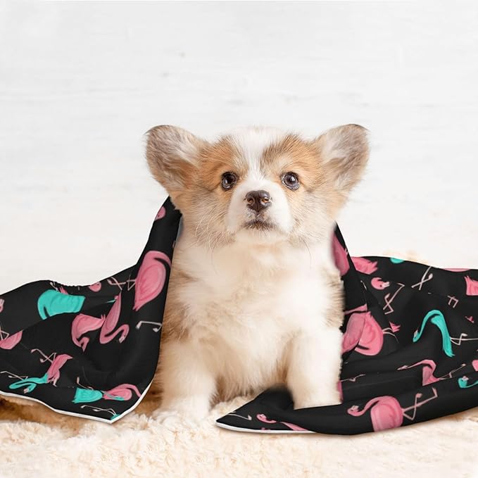 Two Sided Plush Pet Blanket for Warmth Comfort, Flamingo Pattern, Reversible Throw with Cozy Nubby Side for Chilly Nights Napping Spots Around House