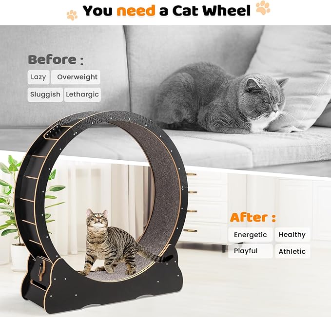 VINGLI Cat Wheel, Large Exercise Wheel for Indoor Cats, Silent Cat Running Wheel with Safety Lock, Black (43.3 inch)