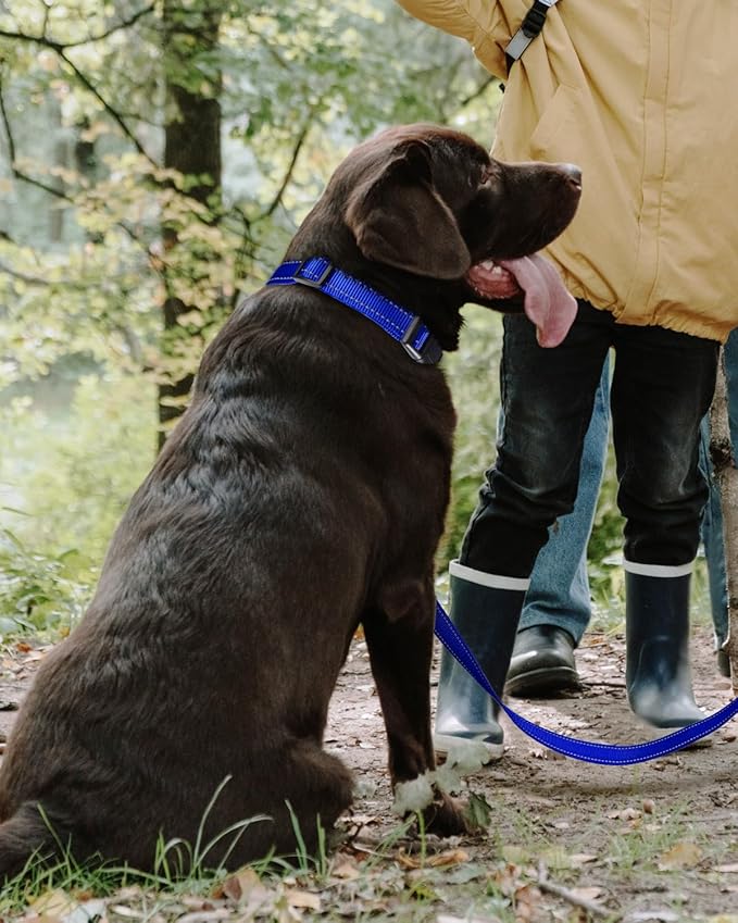 TagME Reflective Nylon Dog Collars, Adjustable Classic Pet Collar with Quick Release Buckle for Extra Large Dogs, Royal Blue, 1¼" Width