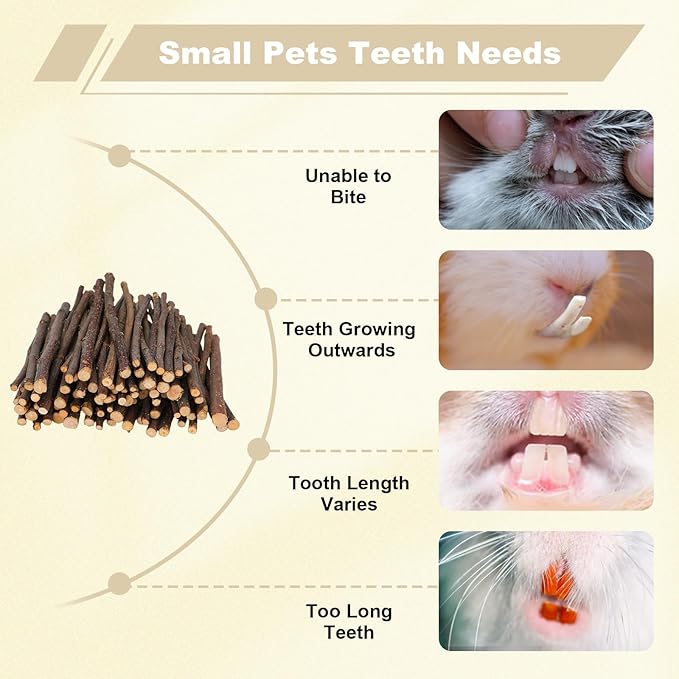 500g Organic Apple Sticks Small Animals Molar Wood Treats Chew Toys for Chinchillas Rabbits Guinea Pig Hamster Gerbil Parrot Bunny Chews Stick Toys