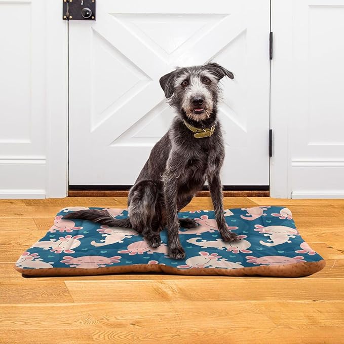 Pet Bed Cute Axolotl Dog Bed Mat Absorbing Non Slip Pad Pet Sleeping Mat for Small, Medium, and Large Dogs Puppy Cat 36 in x 24 in