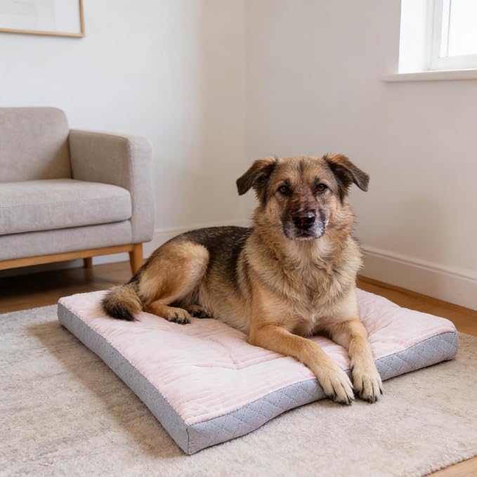 Dog Bed,pet Beds & Furniture,Machine-Washable Cushion for Dogs and Cats,Suitable for Dogs, Floor Furniture Use Pink M