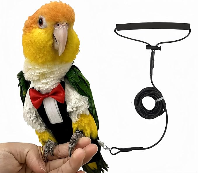 Bird Diapers Bird Harness Tuxedo Flight Suits with 80in Flying Leash Parrot Nappy with Waterproof Inner Layer Urine Wet Suite for Cockatiel Conure Parakeet Macaw Budgie-Black,XL