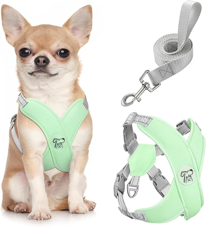 Pawaboo Small Dog Harness and Leash Set, Puppy Harness X-Frame No Pull No Choke, Dog Vest Harness Adjustable for Small Medium Sized Dogs, Soft Breathable Pet Harness for Walking Outing, S, Mint Green