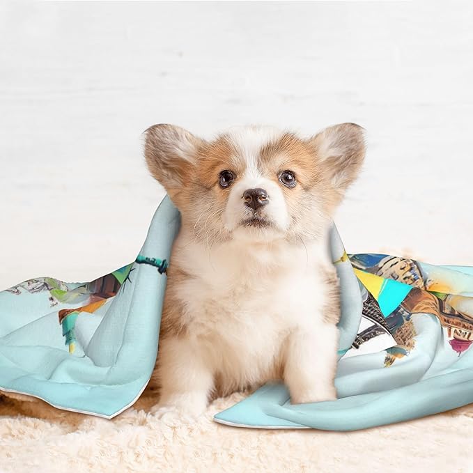 Waterproof Dog Blanket Soft Pet Blanket for Puppy Cat, Fleece Cat Throw Blankets for Furniture Bed Couch Sofa Reversible - Let's go Travel Around The World
