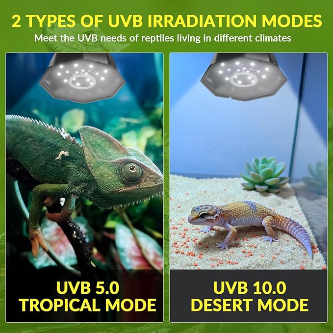 GlowUp UVA UVB Reptile Light 10W, LED UVB Light Bulb Fixture 120V with Dimming for Bearded Dragons, Turtles, Chameleons - 2 Modes UVA UVB Light Suitable for Tropical & Desert Reptiles