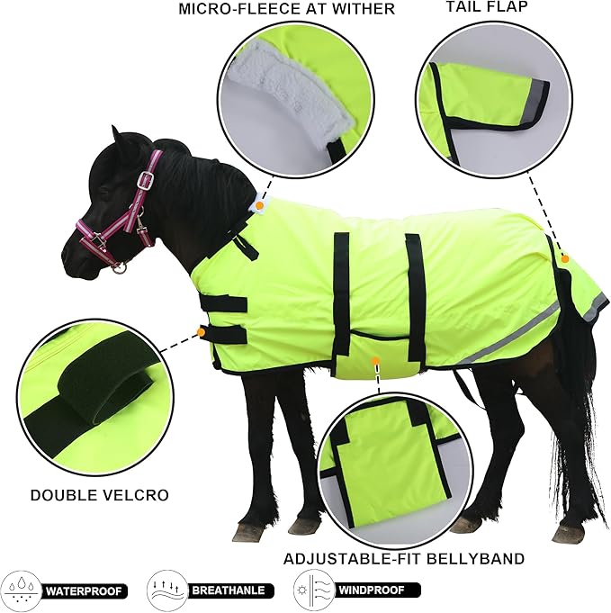 Foal/Mini Horse Size 30"-48" Waterproof & Breathable 300 Denier Winter Turnout Blanket with 150g Polyfill Green Large