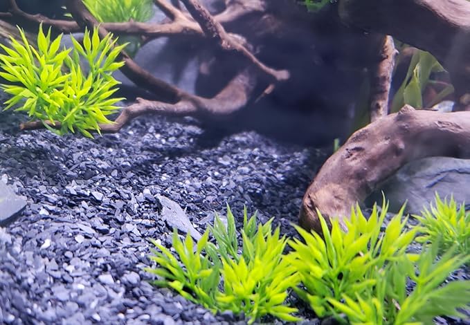 Small World Slate & Stone Aquarium Gravel - Natural Coarse Sand Substrate for Aquascaping Planted, Freshwater and Saltwater Tanks - Gravel Size Approx. 1/32" to 1/8" (6 lbs)