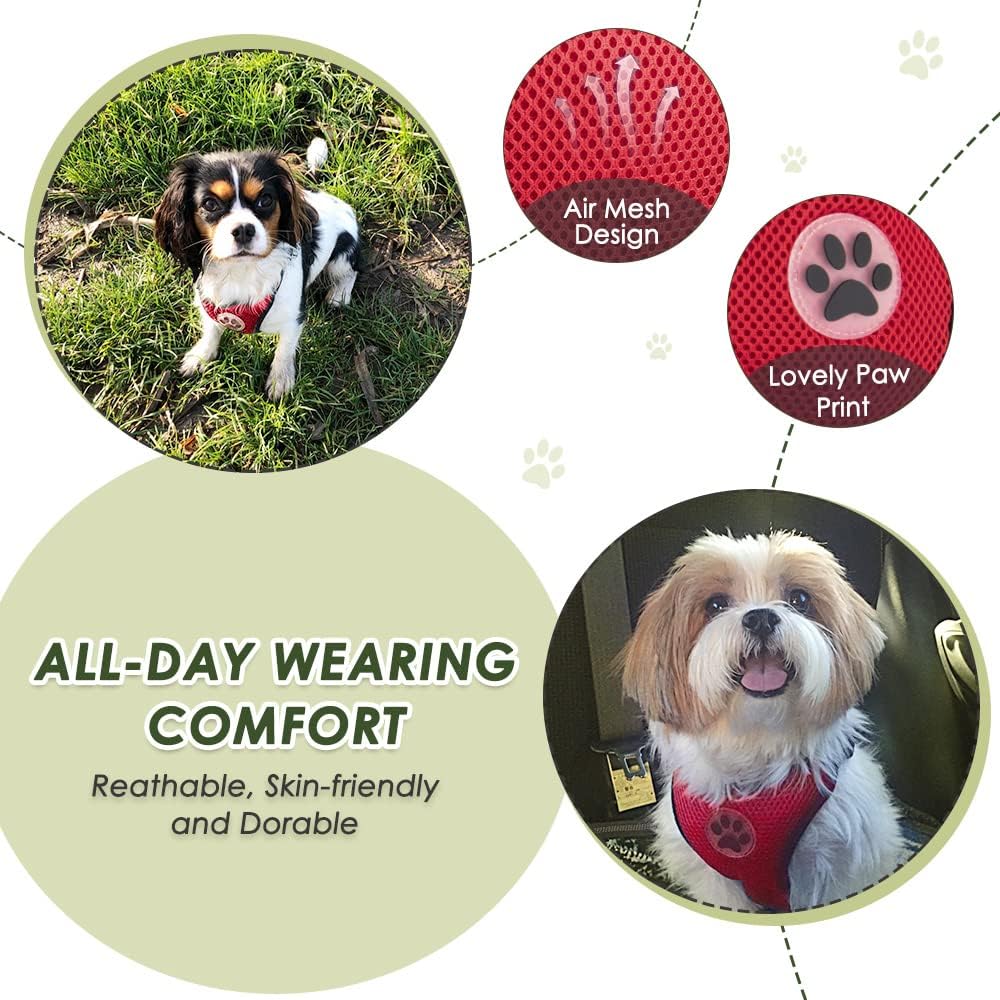 SlowTon Dog Seat Belt Harness for Car, Dog Car Harness Adjustable Mesh Breathable & Dog Seatbelt Safety Tether with Elastic Bungee for Small Medium Large Pets(Red, Double Clip, S)