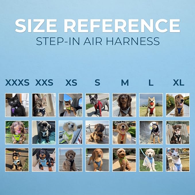 Best Pet Supplies Voyager Step-in Air Harness - All Weather Mesh, Reflective, No Pull Harness for Dogs, Cats - Secure with Hook & Loop Fastener, Buckle, Double D-Rings - Moss Green, L