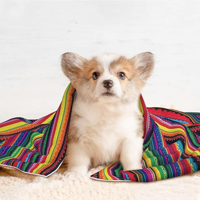 Boho Throw Blanket - Mexican Colorful Striped Blanket for Dog Cat Pet Blankets 40x30 for Couch Sofa Bed