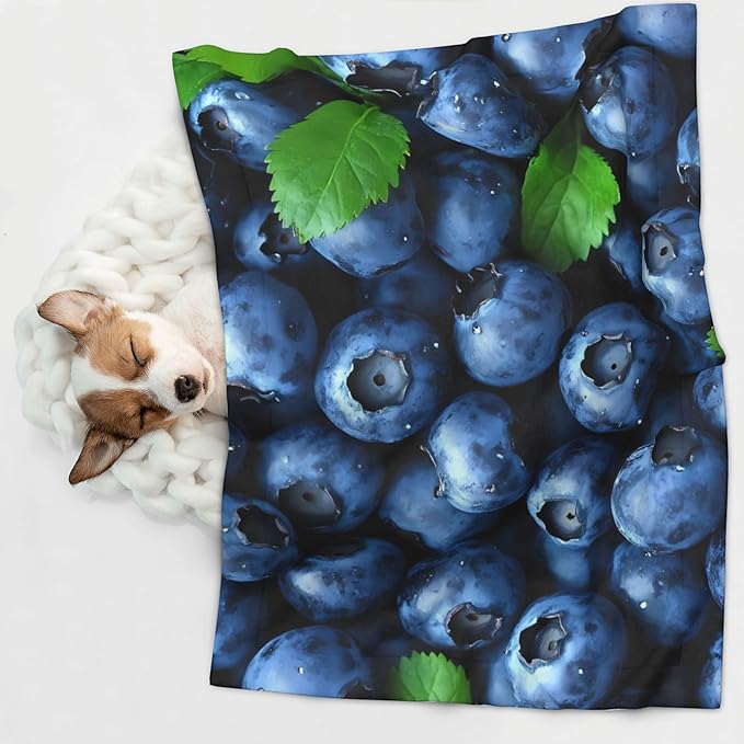 Waterproof Dog Blanket Soft Pet Blanket for Puppy Cat, Fleece Cat Throw Blankets for Furniture Bed Couch Sofa Reversible - Fresh Blueberries