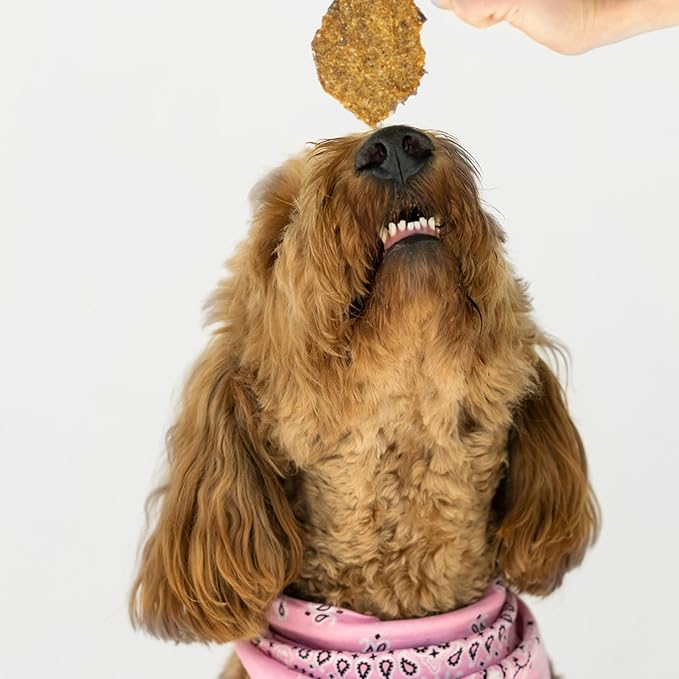 Winnie Lou Turkey Jerky Dog Treats - Limited Ingredient, Human Grade, Training Treats for Small, Medium & Large Dogs, USA Made, High Protein, Chews, Hypoallergenic, Sensative Stomach (1 Pack)
