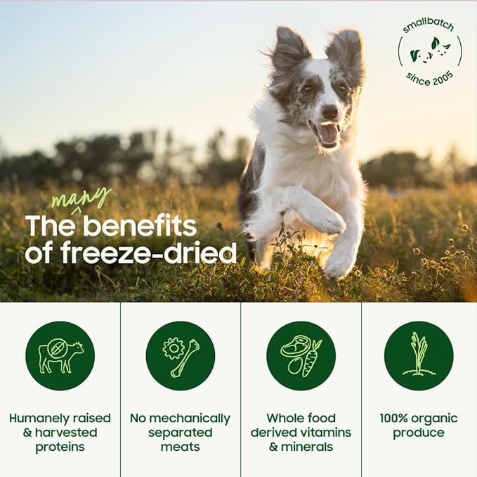 smallbatch Pets Freeze Dried Raw Dog Food, Duck Recipe, 25 oz, Organic High Protein Dog Food, Grain Free, Made in The USA, Humanely Raised Meat, Single Protein, for Picky Eaters, Hydrate & Serve