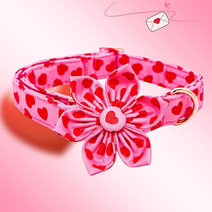 Lionheart glory Valentine's Day Dog Collar with Flower Dog Collar for Small Dogs, Soft Adjustable Hearts Dogs Collars Spring Pet Collars Flower Puppy