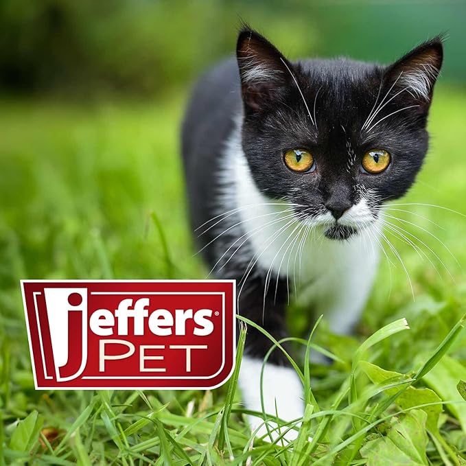 Jeffers Pet Ear Drops for Dogs & Cats – Ear Cleaner with Hydrocortisone – Dropper for Odor, Wax & Itchy Ears – Safe for Routine Use – Home Ear Care, Summer Grooming – 2 fl oz