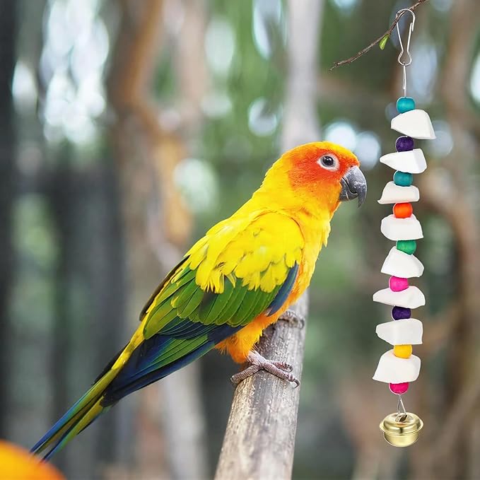 Lusofie 2 Pack Bird Beak Grinding Stone - Cockatiel Bird Toy with Cuttlebone and Beak Grinding Stone - Small to Medium Birds Cage Accessories for Parakeets Budgies Cockatiels Lovebirds Conures
