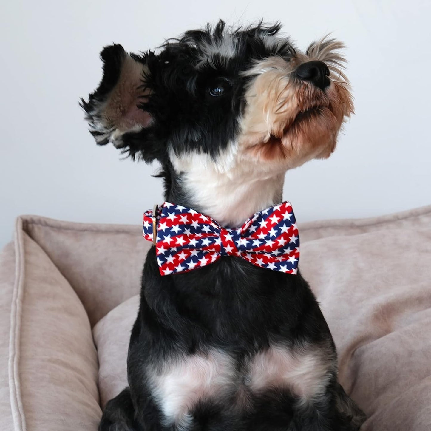 Lionet Paws Patriotic Dog Collar with Bowtie, 4th of July, Soft and Comfortable, Adjustable Collar for Small Dogs, Neck 10-16 inches