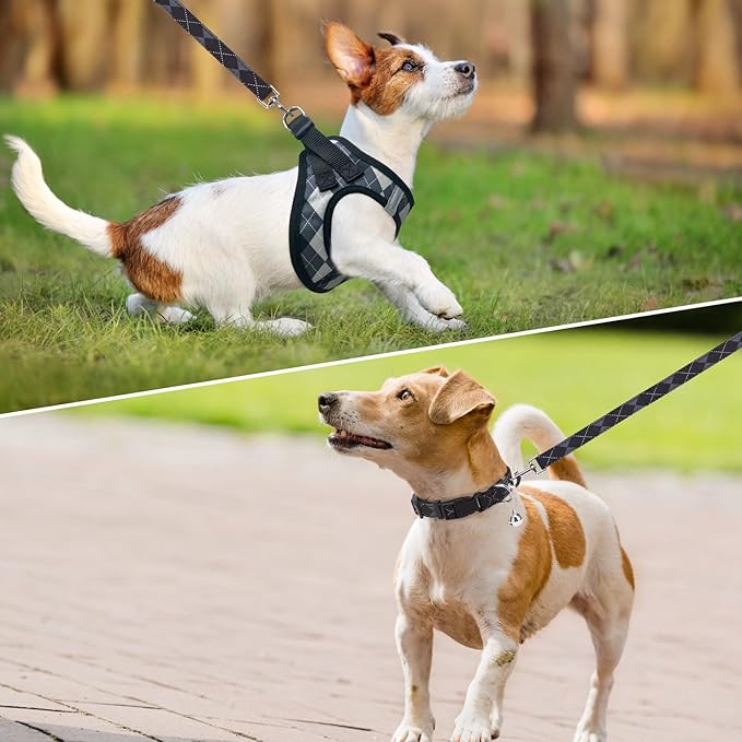 SCENEREAL Small Dog Harness and Leash Collar Set, Step in No Pull Soft Mesh Dog Harnesses for Small Medium Sized Dogs Puppy and Cats Outdoor Walking, No Chock Reflective Vest Harness, Black Plaid M