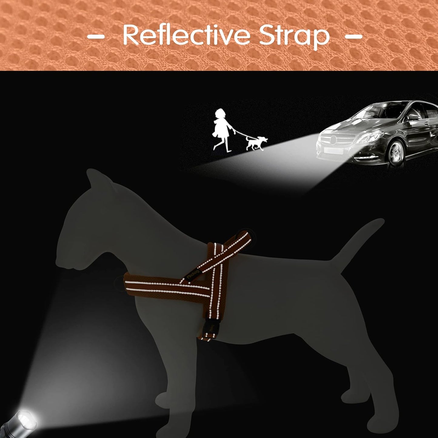 Didog No Pull Dog Harness with Soft Mesh Padded,Reflective & Quick Fit Light Weight Dog Strap Vest Harness,Easy for Walking Training (M:Chest 21-26", Orange)