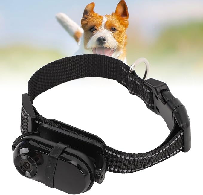 Cat Camera Collar, Pet Collar Camera with Memory Card, HD 1080P Wire Less Dog Tracker Camera Adjustable Mini Action Camera for Video Records (64GB)