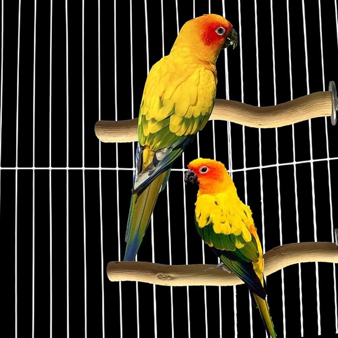 Allazone 5 PCS Natural Parrot Perch Bird Stand Wooden Parrot Perch Stand Parakeet Climbing Standing Branches Toy for Small Lovebirds Budgies Cockatiels