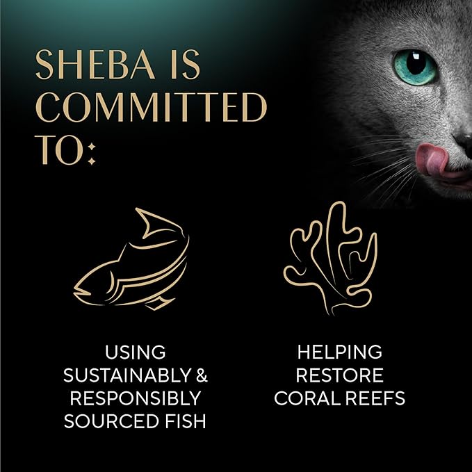 Sheba Gravy Indulgence Adult Wet Cat Food Beef Entree and Chicken Entree in Extra Gravy Variety Pack, 2.6 oz. Twin-Pack Trays (12 Count, 24 Servings) (Pack of 2)