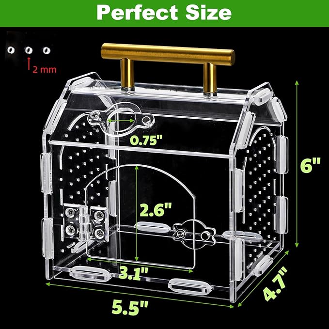 Jumping Spider Enclosure with Handle, Acrylic Reptile Habitat with One-Click Magnetic Closure, Front Opening Small Terrarium with Ventilation Holes for Tarantulas, Frogs, Gecko, Mantis