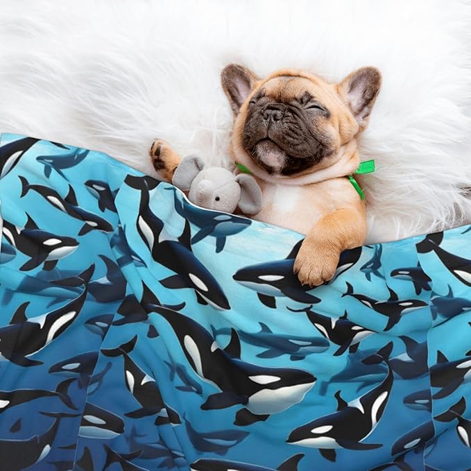 Reversible Plush Throw for Dogs and Cats, Killer Whales Orcas Ocean Sea Animals, Double Sided Blanket with Nubby Dot Side and Sleek Side Ideal for Cuddling Nesting Security