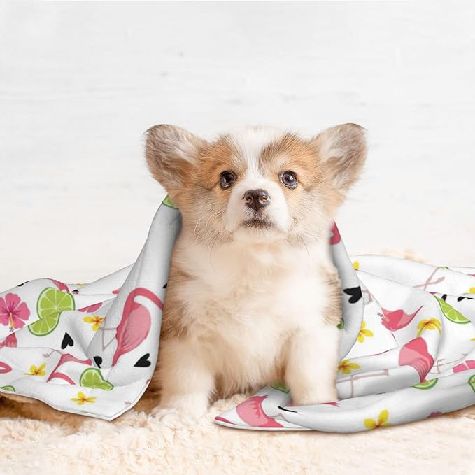 Reversible Plush Dot Pet Blanket for Dogs and Cats, Cute Pink Flamingo, Ultra Soft Two Sided Design with Warm Fuzzy Side and Smooth Side for Comfort