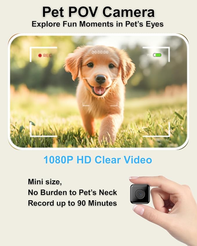 Cat Camera Collar with Tracker Tag, 1080P HD Video Recording Pet POV Cam, NO WiFi NO APP, Body Camera for Cat/Dog Tracking — Lightweight, Night Vision, Easy Playback