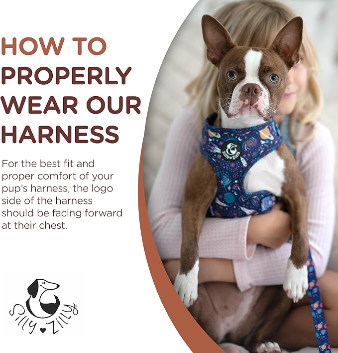 No Pull Harness and Leash Set - 6-in-1 Adjustable Vest Harness and Collars for Medium and Large Dogs. (Cosmic, Large)