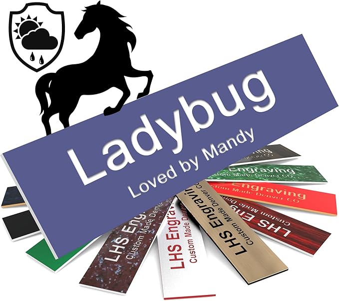 Horse Stall Name Plate, 2x6 Personalized Stall Signs, UV Protected, All Weather Adhesive, Hanging, Mounting or Other, Purple Plastic White Letters - Made in USA - B13
