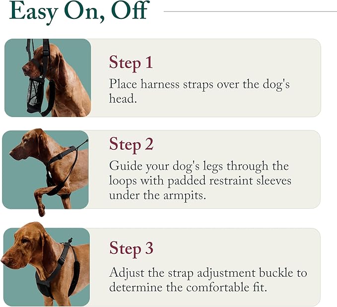 Sporn No Pull Dog Harness, Durable Nylon Mesh Harness for Small Dogs, No Choke Design, Padded Restraint Sleeves, Adjustable Fit, Easy On/Off, Ideal for Small Breeds, Red