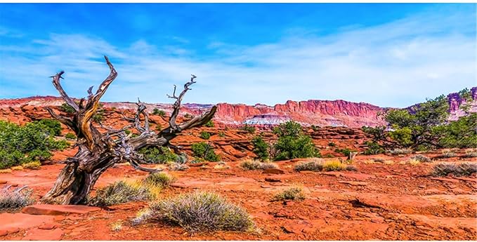 AWERT 36x24 inches Reptile Habitat Background Blue Sky Oasis Orange Desert Terrarium Background